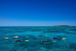 Cairns: Green Island Full-Day Tour with Diving