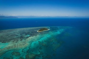 Cairns: Green Island Full-Day Tour with Diving