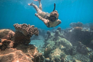 Cairns: Green Island Full-Day Tour with Diving