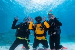 Cairns: Green Island Full-Day Tour with Diving