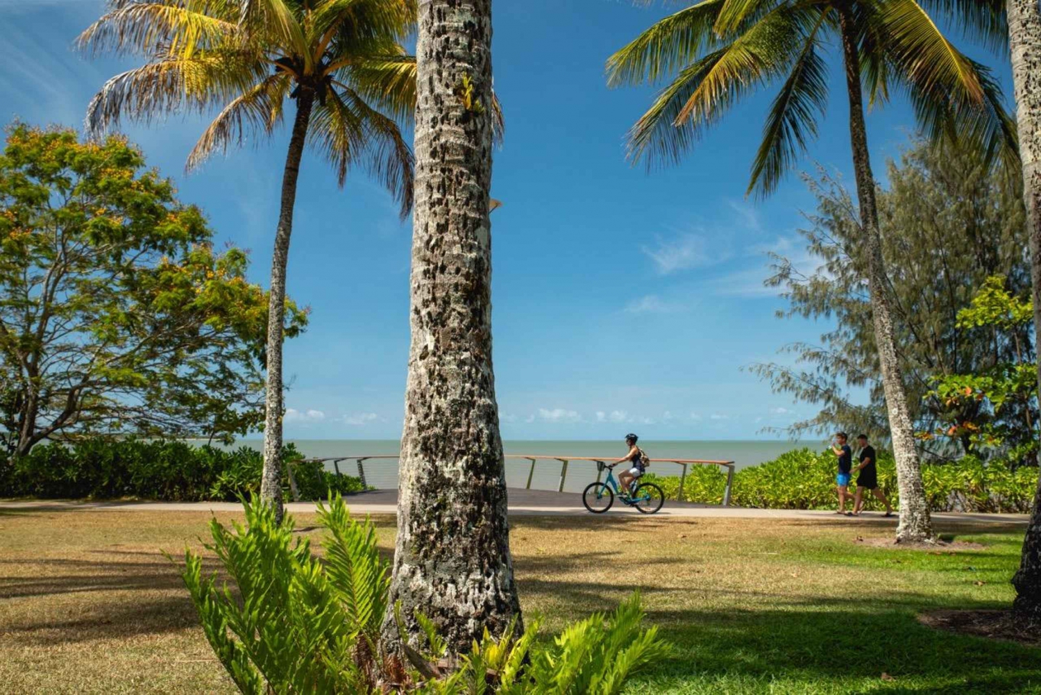 Cairns: Opastettu polkupyöräretki ja vierailu kasvitieteellisessä puutarhassa.