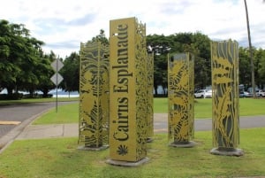 Cairns: Guided Bicycle Tour with Botanical Gardens Visit