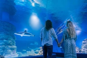 Cairns: Rondleiding door het Aquarium in de schemering