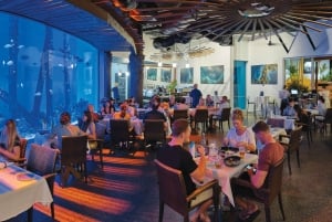 Cairns: Guided Twilight Tour with 3-Course Dinner