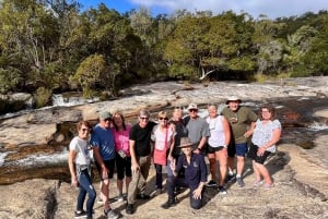 Cairns: Half-Day 4WD Rainforest & Waterfall Tour