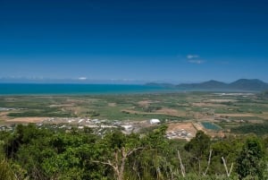 Cairns: Half-Day 4WD Rainforest & Waterfall Tour