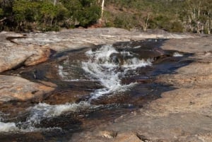 Cairns: Half-Day 4WD Rainforest & Waterfall Tour