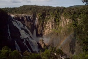 Cairns: Half-Day 4WD Rainforest & Waterfall Tour