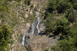 Cairns: Half-Day 4WD Rainforest & Waterfall Tour