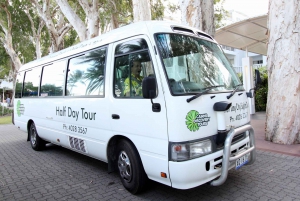 Cairns: Half-Day City Sightseeing Tour