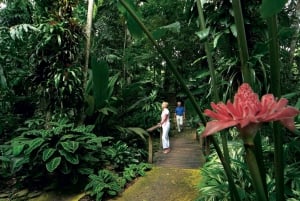 Cairns: excursão turística de meio dia pela cidade