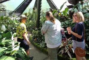 Cairns: Halvdags sightseeingtur i byen
