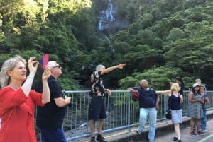 Cairns: Halvdags sightseeingtur i staden