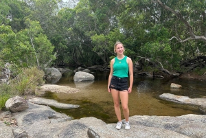 Cairns: Half-Day Premium 4WD Rainforest & Waterfall Tour