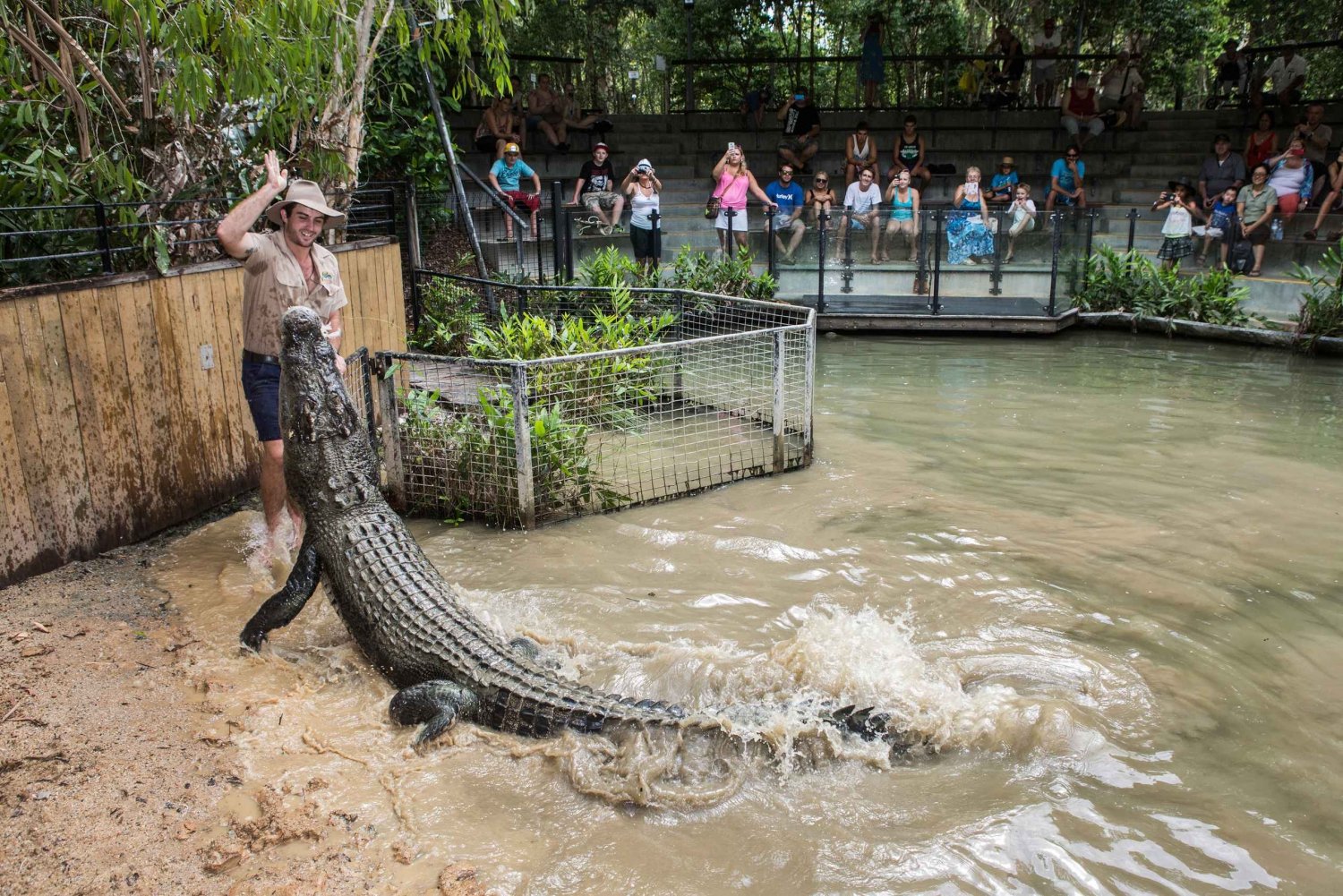 Cairns: Indgang til Hartley's Crocodile Adventures Park