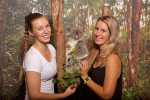 Cairns: Hartley's Crocodile Adventures Park Entry