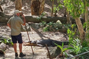 Cairns: Hartley's Krokodillenavonturen transfer en terugreis