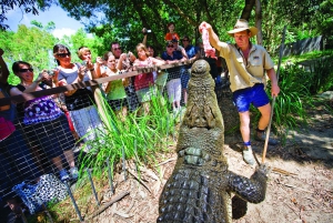 Cairns: Hartley's Crocodile Adventures Visit with Transfer