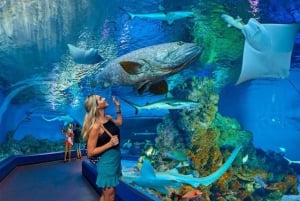 Cairns: Heißluftballonfahrt & Eintritt ins Cairns Aquarium