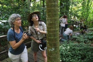 Cairns: Tour fotográfico de insetos no Jardim Botânico de Cairns