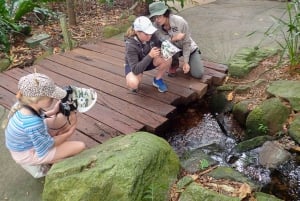 Cairns: Tour fotografico degli insetti nei Giardini Botanici di Cairns