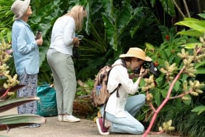 ケアンズ：ケアンズ植物園の昆虫写真撮影ツアー