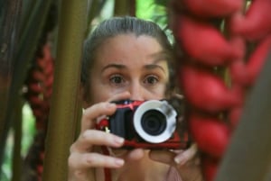 ケアンズ：ケアンズ植物園の昆虫写真撮影ツアー