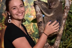 Cairns Koalas and Creatures Inträdesbiljett med Koala-foto