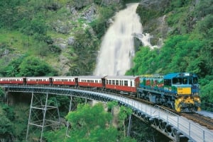 Cairns: Small Group Tour - Kuranda via bus and Scenic Rail