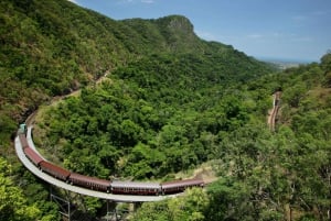 Cairns: Tour em pequenos grupos - Kuranda via ônibus e Scenic Rail