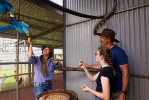 Cairns: Kuranda Village Horse Ride and Petting Zoo Visit