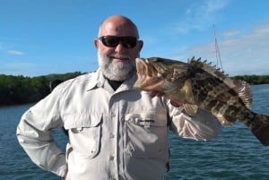 Cairns: battello per la pesca mattutina nell'estuario