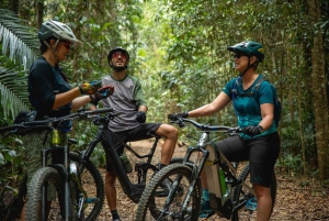 Cairns: Mountain Bike Tour at World Famous Smithfield