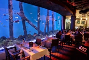 Cairns: Night at the Aquarium Guided Tour & 2 Course Dinner