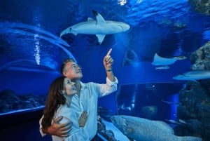 Cairns: Nacht in het Aquarium Rondleiding & 2-gangendiner