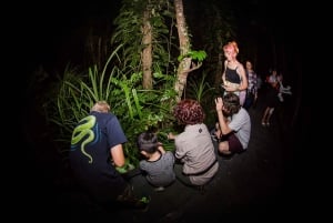 Cairns: Nachtwandeling in de botanische tuinen van Cairns