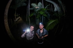 Cairns: Nocny spacer po ogrodach botanicznych w Cairns