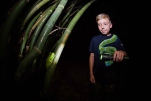 Cairns: Nachtwandeling in de botanische tuinen van Cairns