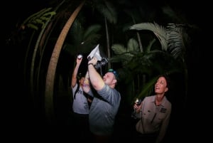 Cairns: Nachtwanderung in den Botanischen Gärten von Cairns