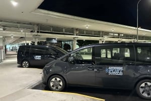Cairns : Transfert privé aller simple vers/depuis Port Douglas