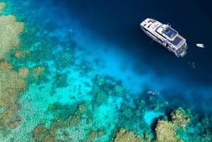 Cairns Great Barrier Reef: Snorkel Day Trip