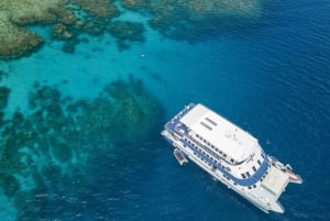 Snorkling på Great Barrier Reef i Cairns spesialtilbud
