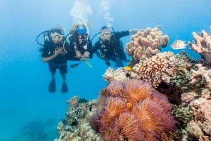 Cairns: Crucero de buceo y snorkel por Cayo Exterior y Cayo Coral
