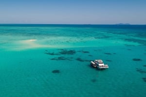 Cairns: Crucero de buceo y snorkel por Cayo Exterior y Cayo Coral
