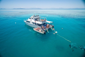 Cairns: Outer and Coral Cay Snorkel and Dive Cruise