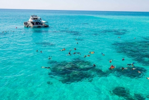 Fra Cairns: Snorkle- og dykkecruise til Coral Cay