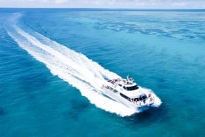 Cairns: Outer and Coral Cay Snorkel and Dive Cruise