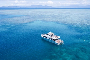 Fra Cairns: Snorkle- og dykkecruise til Coral Cay