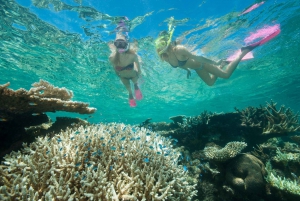 Cairns: Outer Great Barrier Reef Full-Day Tour with Lunch