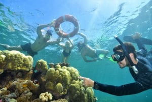 Cairns : Ponton avec activités sur le récif extérieur de la Grande Barrière de Corail